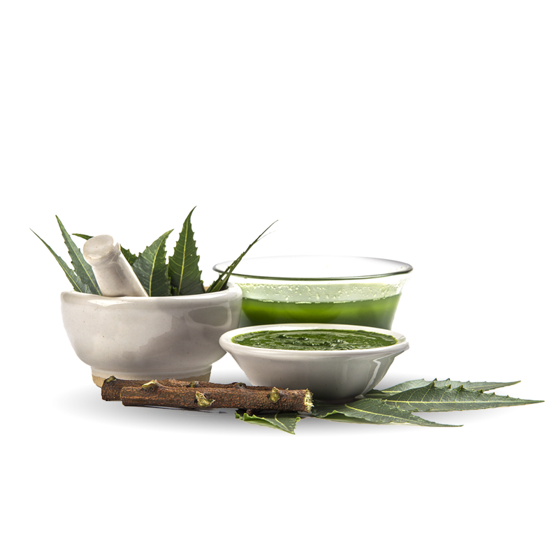 Leading Ayurveda & Wellness Center Dr.Ambika's Abhaya Ayurveda